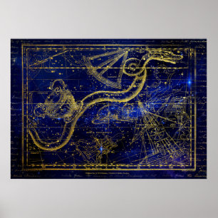 Katze und Schlange Sternbild Poster