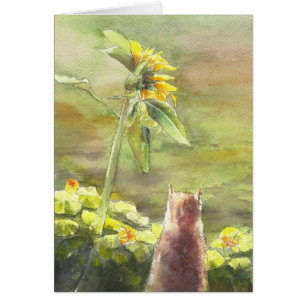 Katze und Sonnenblume