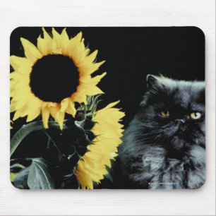 Katze und Sonnenblume Mousepad