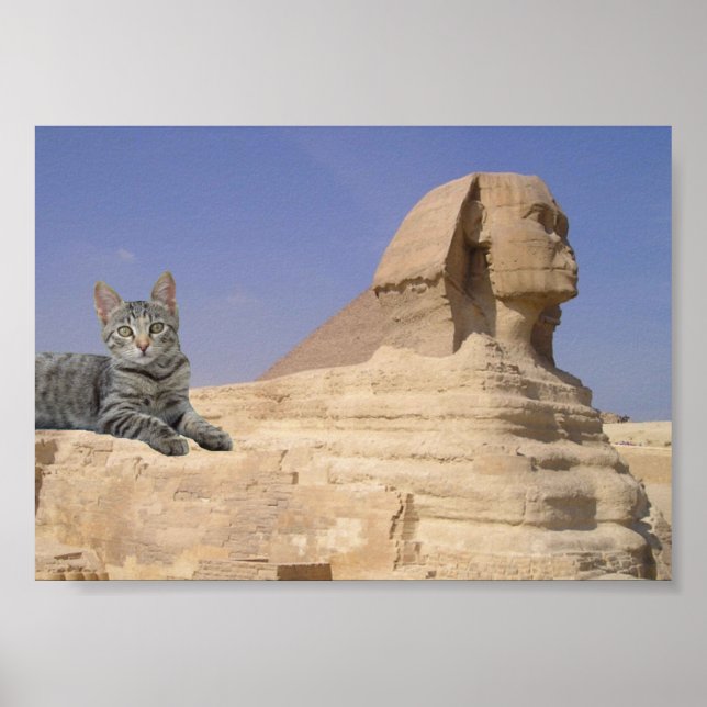 Katze und Sphinx. Poster (Vorne)