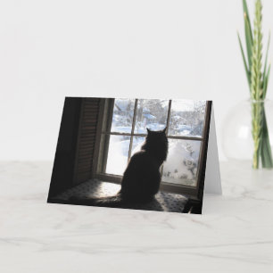 Katze und Stille Karte