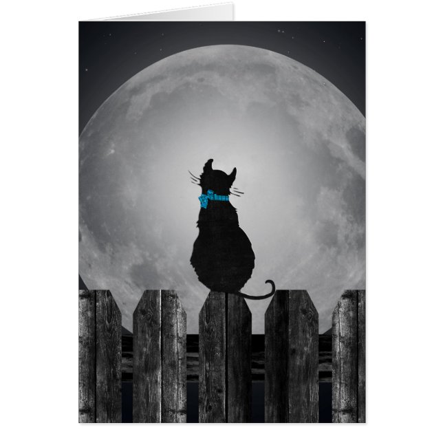 Katze und Vollmond (Vorne)