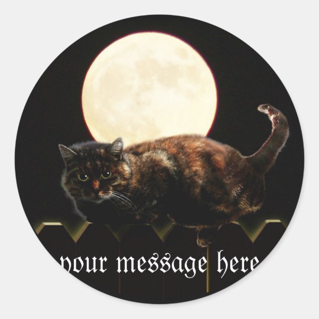 Katze und Vollmond Runder Aufkleber (Vorderseite)