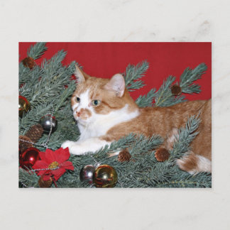 Katze und Weihnachtsbaum Feiertagspostkarte