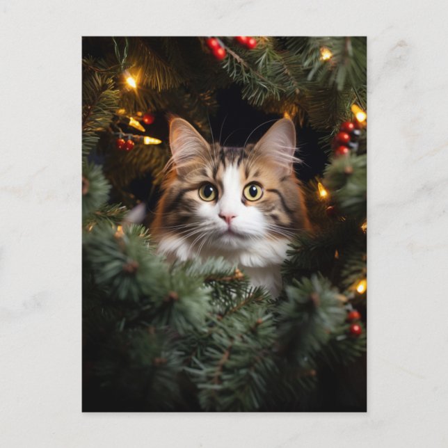 Katze und Weihnachtsbaum Postkarte (Vorderseite)