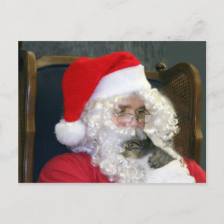 Katze und Weihnachtsmann Feiertagspostkarte