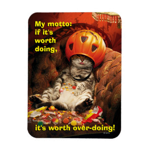 Katze unter dem Candy Ecket Magnet