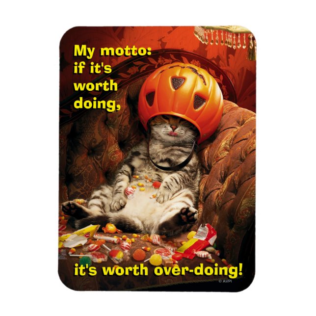 Katze unter dem Candy Ecket Magnet (Vertikal)