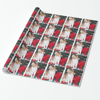Katze unter Weihnachtsbaum Geschenkpapier