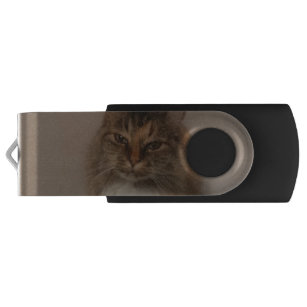 Katze USB Stick