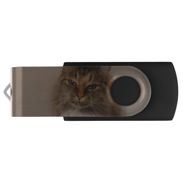 Katze USB Stick (Rückseite)