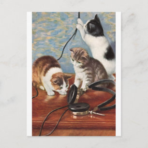 Katze Vintage Postkarte