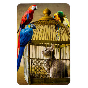 Katze & Vögel Magnet