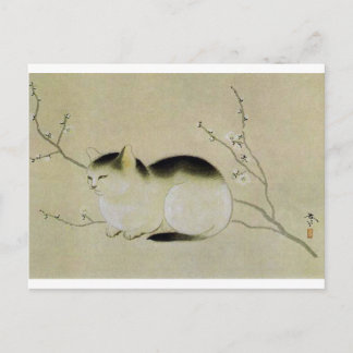 Katze von Hishida Shunso Postkarte