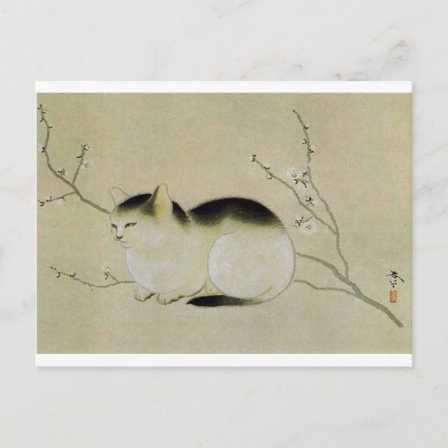 Katze von Hishida Shunso Postkarte (Vorderseite)