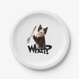 Katze, was für eine lustige schwarze Katze, Katze  Pappteller