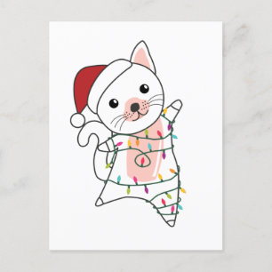 Katze Weihnachten Schnee Winter Tiere Katzen