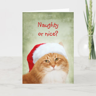 Katze Weihnachtsmann Feiertagskarte
