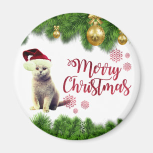 Katze, Weihnachtsmannmütze, Weihnachtsbälle Magnet