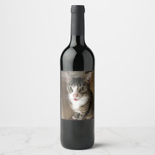 Katze Weinetikett (Vorderseite)