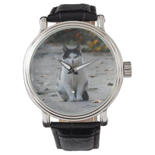 Katze, weiß, Haustier Armbanduhr