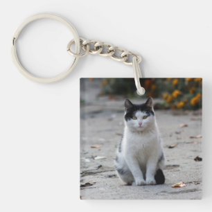 Katze, weiß, Haustier Schlüsselanhänger