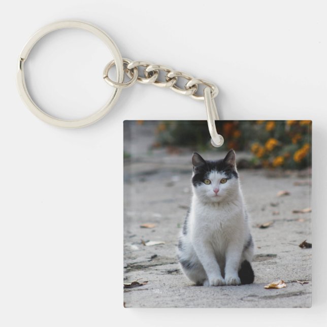 Katze, weiß, Haustier Schlüsselanhänger (Vorderseite)