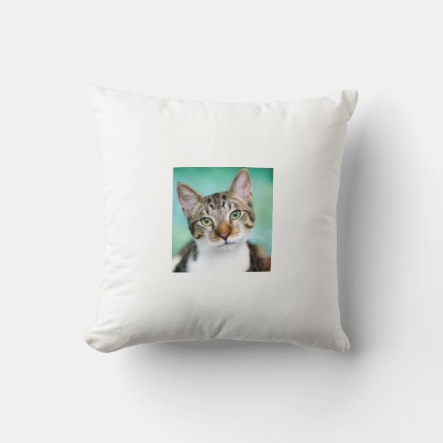 Katze Wurf Kissen (Vorderseite)