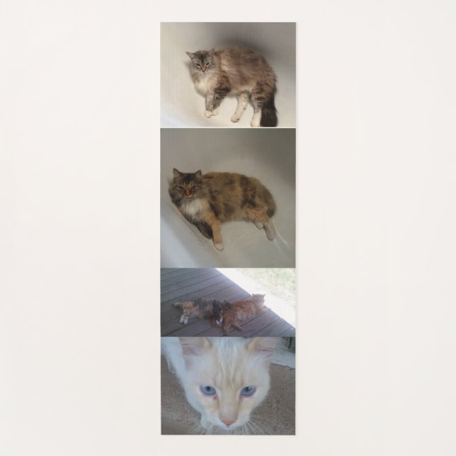 Katze Yogamatte (Vorderseite)
