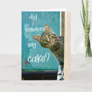 Katze zum Geburtstag, lustig, hat jemand gesagt, K Karte