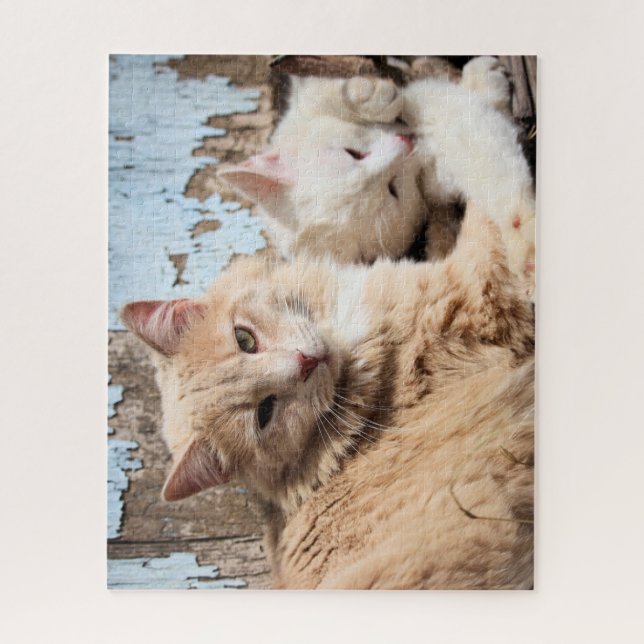 Katzen (Vertikal)