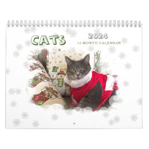 Katzen 2024 Kalender