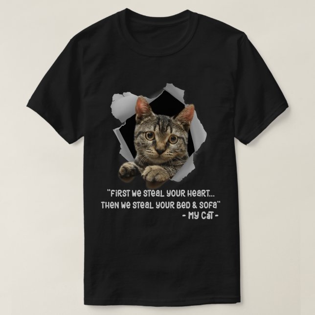 Katzen 365 Katzen Sofa Lustige Sprüche Katze Überr T-Shirt (Design vorne)