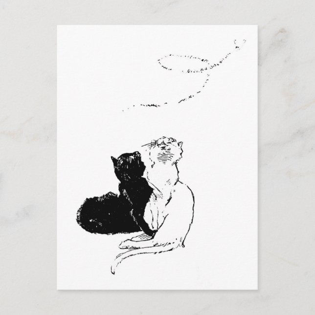 Katzen, Alexandre Steinlen Postkarte (Vorderseite)
