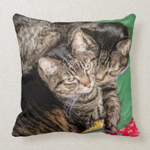 Katzen - Alltag - Urlaub - Weihnachten Kissen