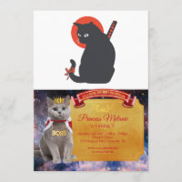 Katzen als Krieger Samurai - Wählen Sie die Hinter