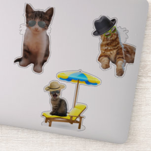 Katzen am Strand Aufkleber