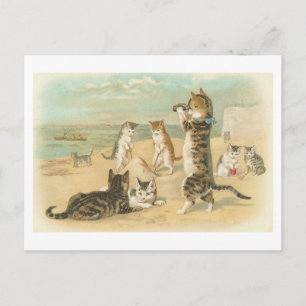 "Katzen am Strand" Vintage Postkarte