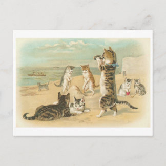 "Katzen am Strand" Vintage Postkarte