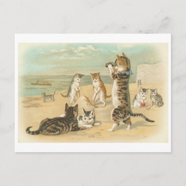 "Katzen am Strand" Vintage Postkarte (Vorderseite)