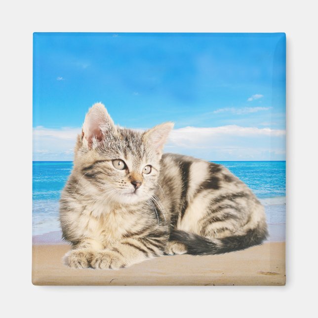 Katzen am Strand von Tropical Island Magnet (Vorne)