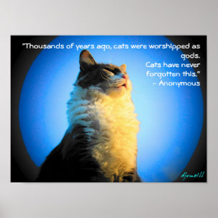 Katzen angebetet als Götter mit anonymem Zitat Poster