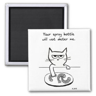 Katzen auf Gegenständen - Funny Cat Magnet