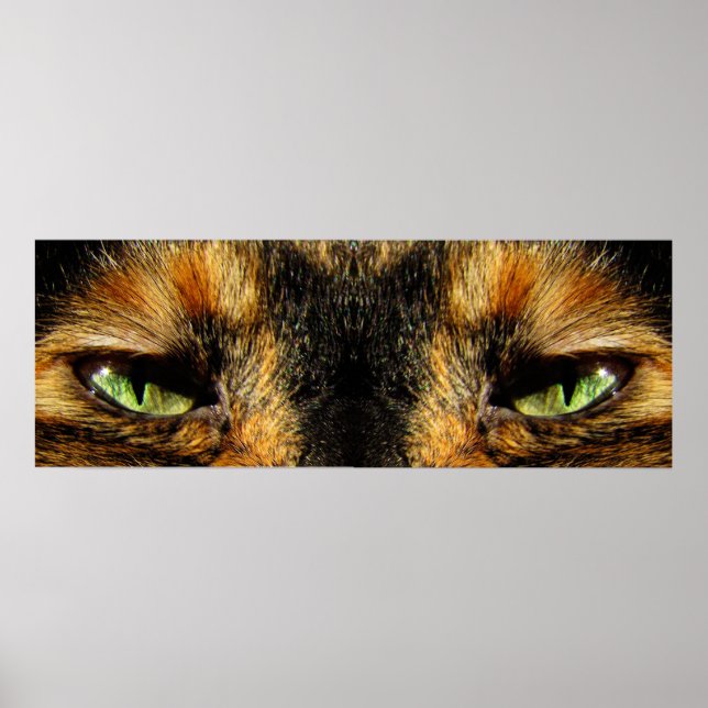 Katzen Augen Poster (Vorne)
