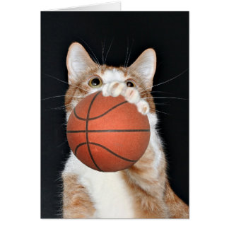 Katzen-Basketball