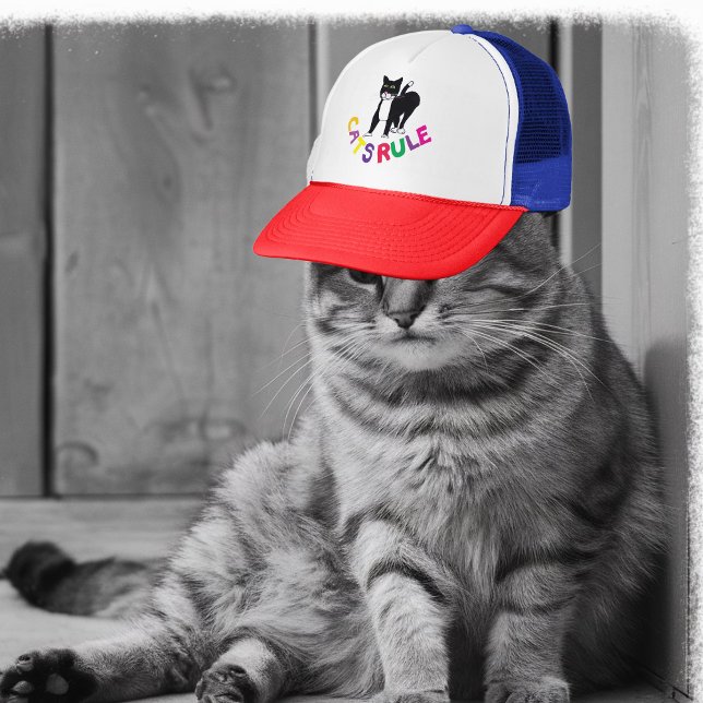 Katzen beherrschen Lastkraftwagen, die Katze schwa Truckerkappe (Von Creator hochgeladen)