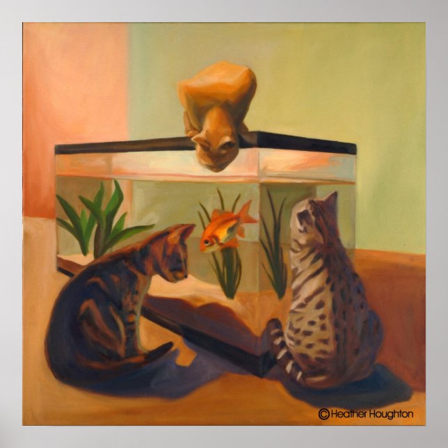 Katzen beobachten Fisch Poster (Vorne)