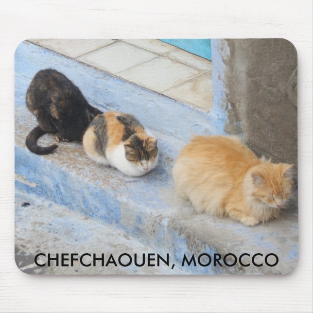 Katzen, Chefchaouen, Marokko Mousepad (Vorne)