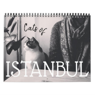 Katzen des ISTANBUL-Kalenders Kalender