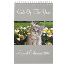 Katzen des Jahreskalenders 2018